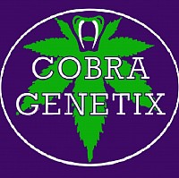 Cobra Genetix